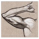 Arms Exercises APK