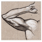 Arms Exercises icon