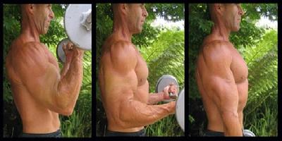 Shoulder workouts imagem de tela 3