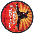 武术