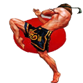 Muay thai