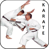 Karate biểu tượng