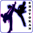 Shotokan karate