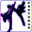 Shotokan karate APK