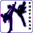 Shotokan karate icône