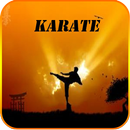 Karate aplikacja