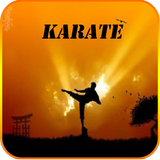 Karate icône