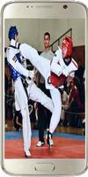 Taekwondo capture d'écran 1
