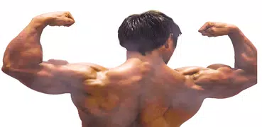 Shoulder Workout
