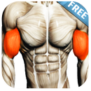 锻炼二头肌 APK