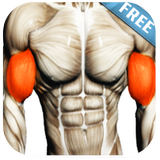 Biceps Workout icon