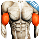 bíceps Workout APK