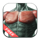 Workout ngực tốt nhất APK