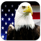 The USA Constitution Audiobook icon