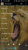Lion Sounds poster