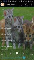 Kitten Sounds اسکرین شاٹ 3