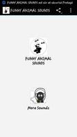 Funny Animal Sounds poster