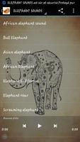1 Schermata Elephant Sounds