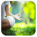 Yoga Exercises for Beginners