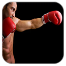Boxing APK