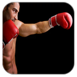 Boxing icon