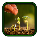 Sowing seeds - Planting APK