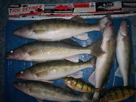 Lake Kabetogama Fishing Report 截图 1