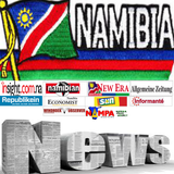 Namibian Newspapers icône