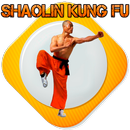 Kung Fu APK