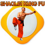 Icona Kung Fu