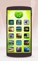 nature ringtones 截圖 1