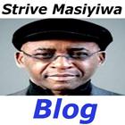 Strive Masiyiwa Blog أيقونة