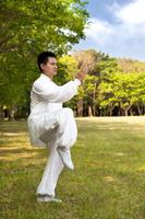 Learn Kung Fu Training 2020 تصوير الشاشة 2