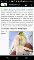 برنامه‌نما Calopsita Brasil عکس از صفحه