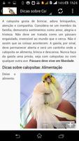 Calopsita Brasil 截图 1