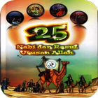 25 Nabi dan Rasul icône