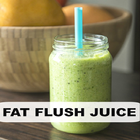 Fat Flush Juice icône