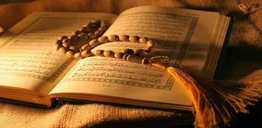 Ahmad Sulaiman Quran - ONLINE