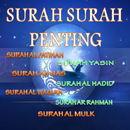 SURAH SURAH PENTING APK