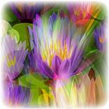 Words From My Heavenly Father