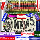 ALL ZIMBABWE NEWSPAPERS simgesi