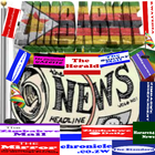 ALL ZIMBABWE NEWSPAPERS icône