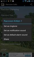 Raccoon Calls HD screenshot 3