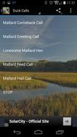 Mallard Duck Calls Screenshot 1