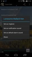 Mallard Duck Calls Screenshot 2