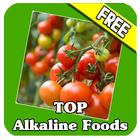 Alkaline Foods for You-icoon