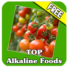 Alkaline Foods for You आइकन