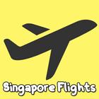 Cheap Flights Ticket Singapore icône
