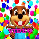 Busy Beaver Videos icône