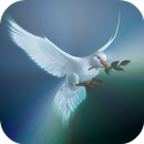 Espíritu Santo APK